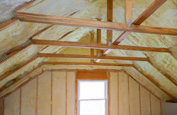 Best Eco-Friendly Insulation in Adel, IA